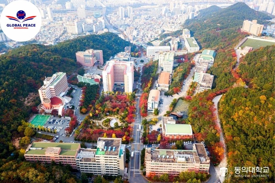 Trường Đại học Tư thục Dong-Eui