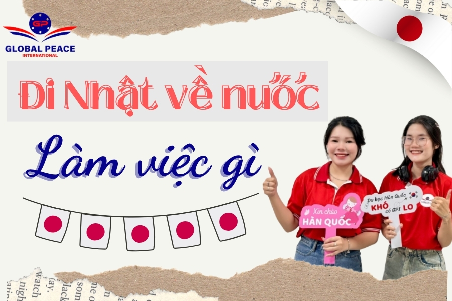 Đi Nhật về làm gì, top 10 công việc dành cho thực tập sinh sau khi về nước