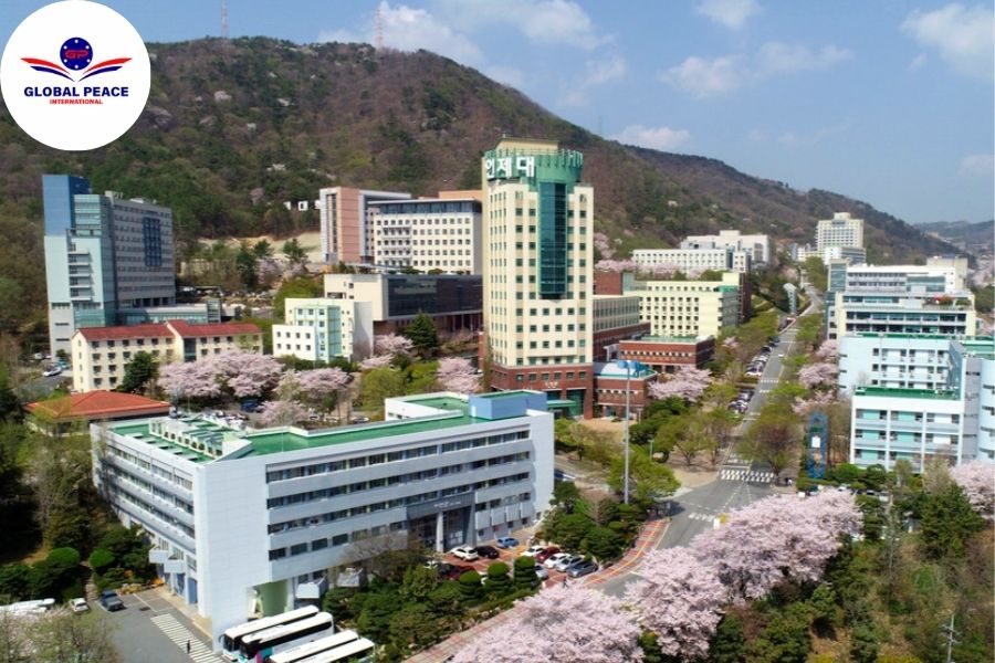 Trường Đại học Inje