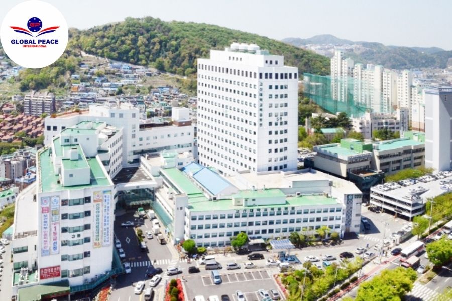 Trường Đại học Kosin
