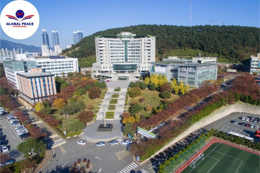 Trường Đại học Tư thục Tongmyong