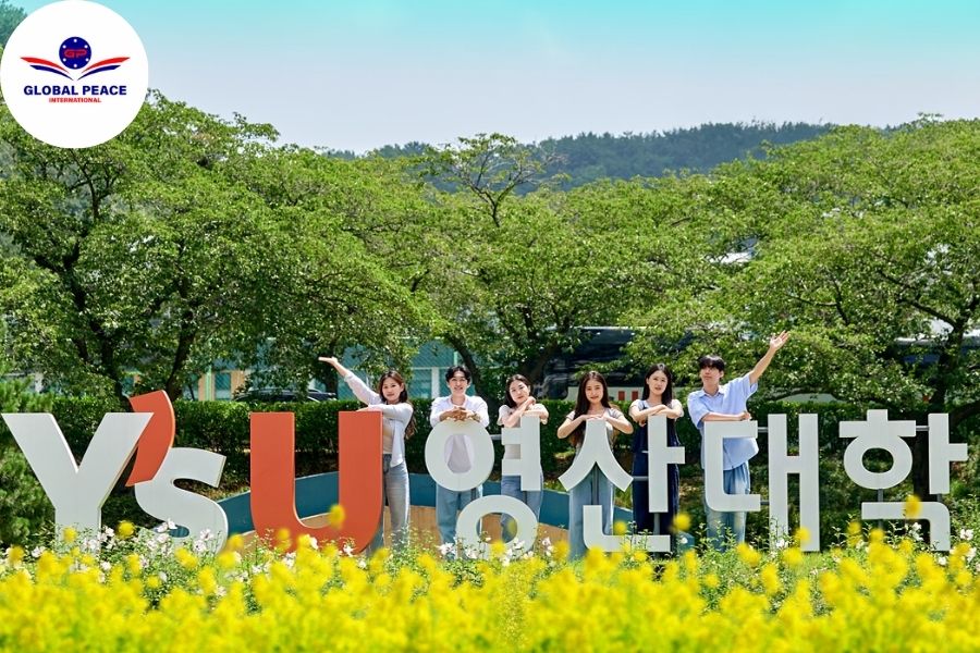 Trường Đại học Tư thục Youngsan - Top đầu trường tư thục Hàn Quốc